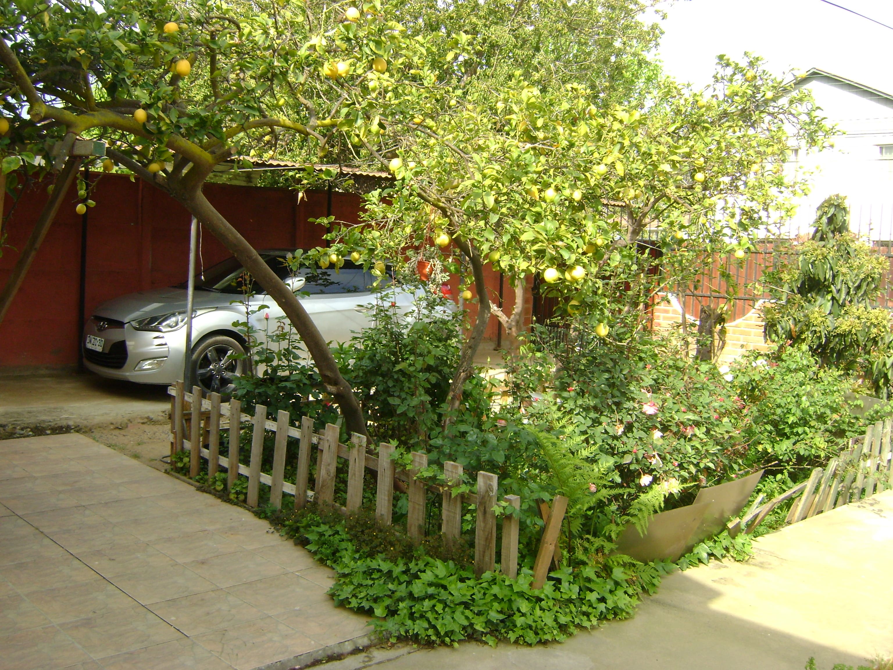 Foto 14