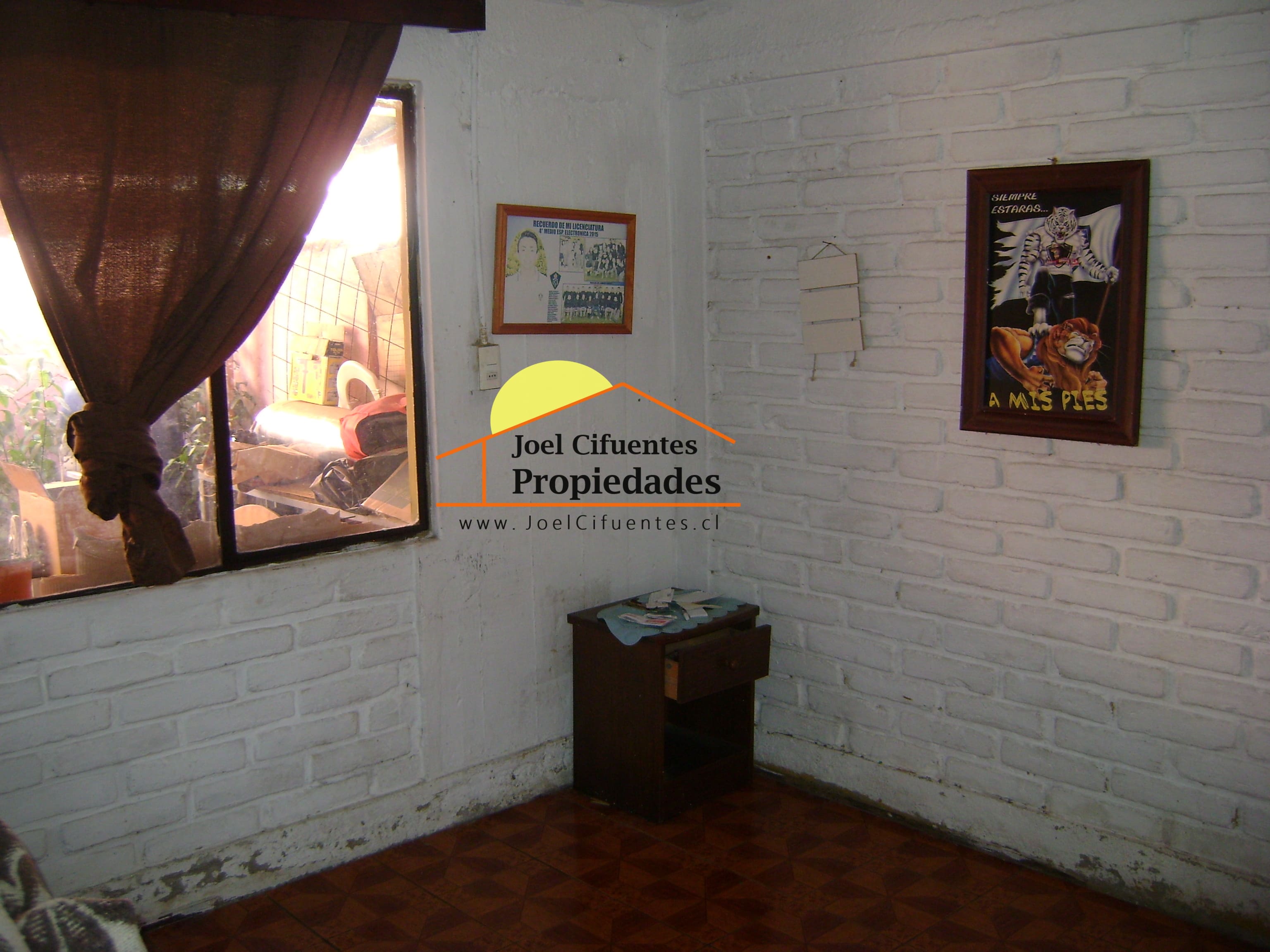 Foto 11