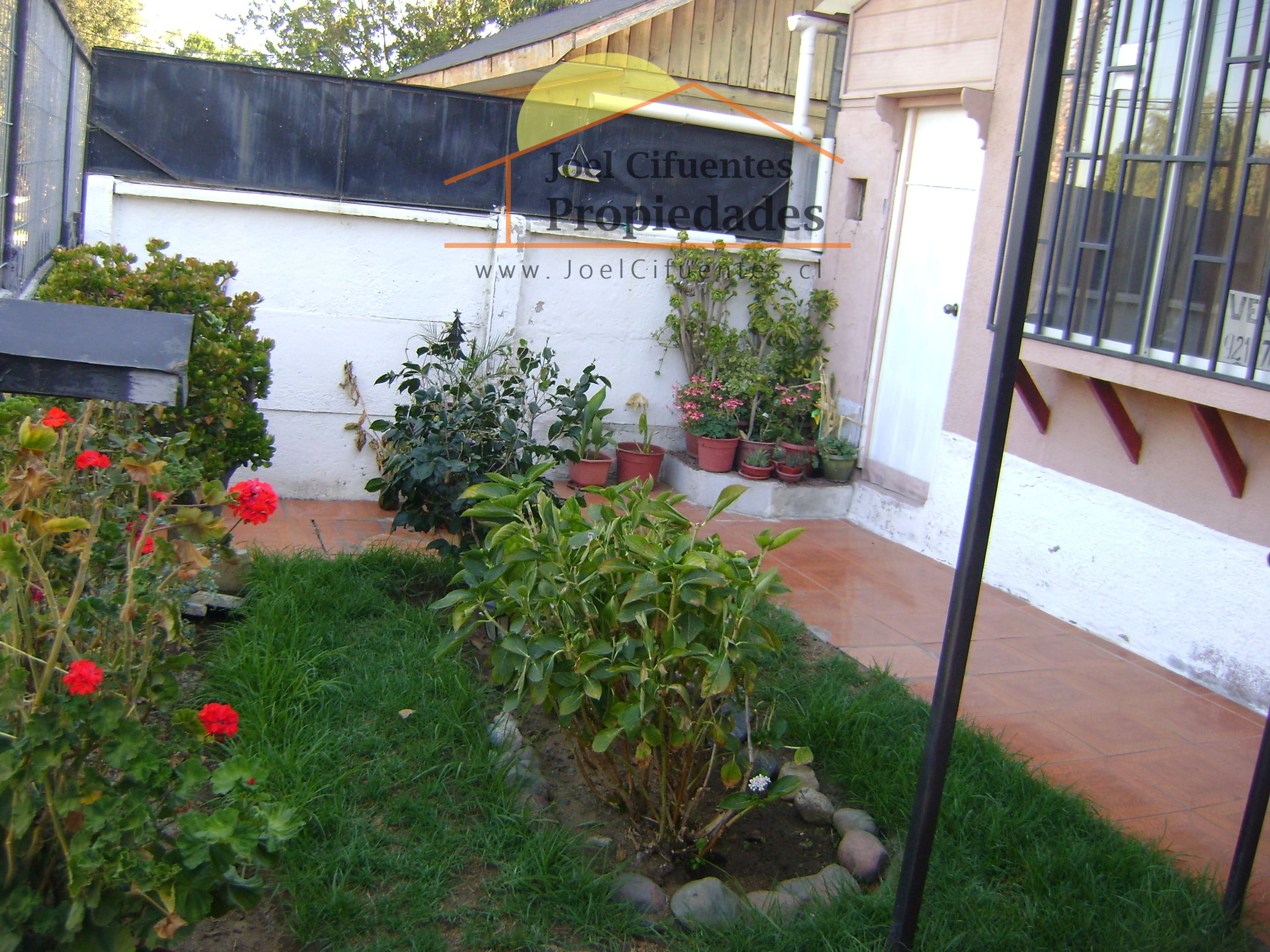Foto 3